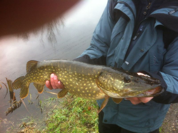 IMG-20121224-WA0002