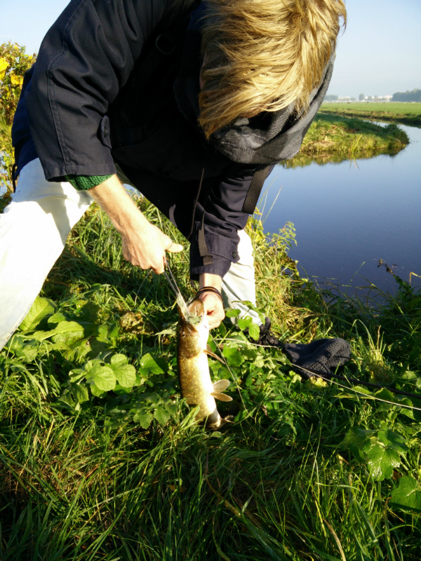 Reeuwijk okt_2016_2