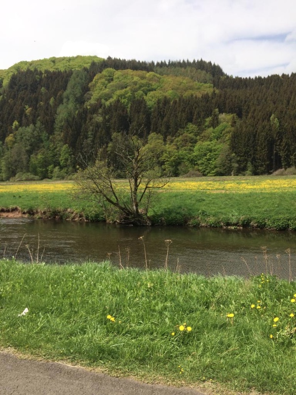 IMG-20180512-WA0003